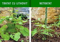 lithovit-legume-6