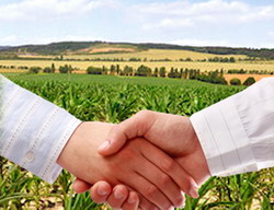 vanzare terenuri agricole