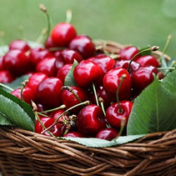 285x285 Apple Cider Vinegar Cherry Juice Arthritis 1