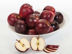 Marul visiniu ANABP 01