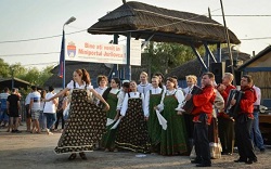 Agricultura si industria alimentara in fruntea evaziunii fiscale