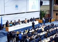 Adunarea ONU de Mediu-Romania 3