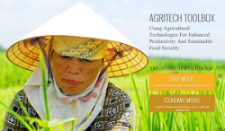 Pierderile mondiale de productie agricola vor fi de pana la 30 % pana in 2050