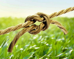 Consortiul National AGROALIMENT