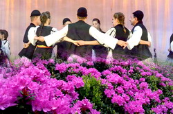 Festivalul Bujorul de munte