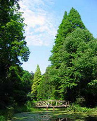 Gradini si spatii in aer liber din Transilvania