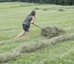 Adunarea fanului cosit vara