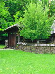 MUZEUL CIVILIZATIEI POPULARE TRADITIONALE ASTRA