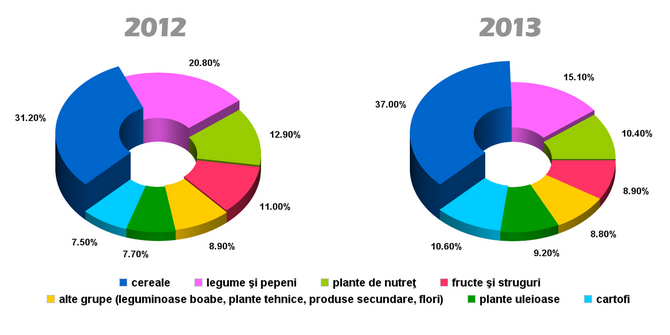 Productie agricola vegetal 2012-2013