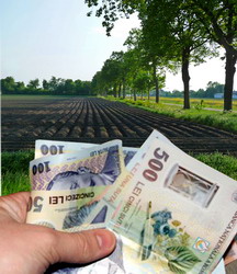 Se efectueaza plata primei transe din renta viagera aferenta anului 2013