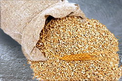 Aproape 2.000 tone cereale confiscate de Directia Generala Antifrauda Fiscala