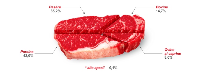 productie totala carne