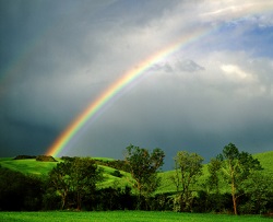 rainbow-gallery-1