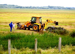 Incep lucrarile de reconstructie ecologica la Mahmudia