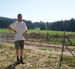 Ferma de porci in agricultura rationala