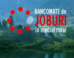 Cursuri gratuite in cadrul proiectului ‘Bancomate de joburi in mediul rural’