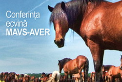 Conferinta ecvina MAVS-AVER