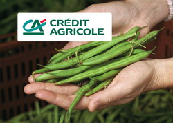 Credit Agricole Bank Romania prefinanteaza subventiile APIA