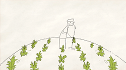 Povestea agriculturii si economiei verzi