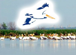 Finantare europeana FLAG Delta Dunarii