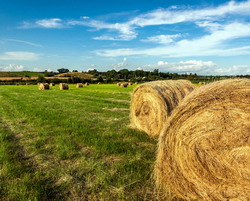 Problemele de actualitate privind agricultura rurala din Romania dezbatute la MADR