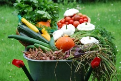 dyn001 original 480 321 pjpeg 2604385 bbf7838f6382c446473cacc68382f24d.2