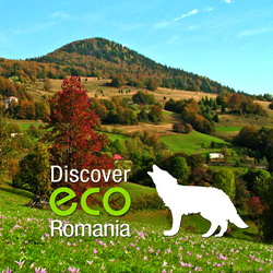 Destinatiile de ecoturism, una dintre solutiile pentru viitorul turismului romanesc