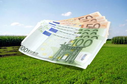 Avans de 79 de euro pe hectar