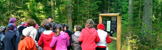 Ecoturism - Tinovul Mare Poiana Stampei4