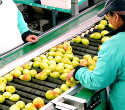 Interzicere importuri Rusia - sprijin UE