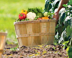 Majorare ajutoare agricultura ecologica-2014