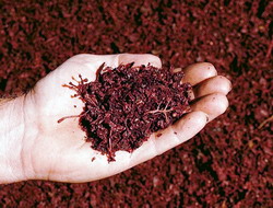 Masura de distilare a subproduselor completeaza Programul National Vitivinicol 2014-2018