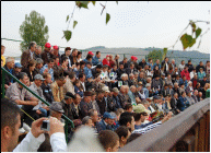 Parada Taurilor Semtest BVN 2