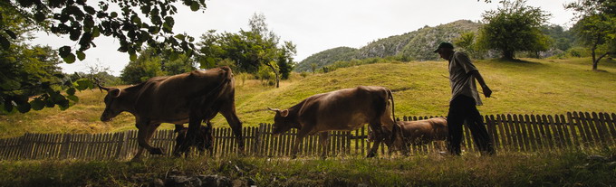 Platoul Mehedinti - Arhitectura traditionala5