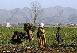 article-1244654-00914FB5000004B0-739 468x323