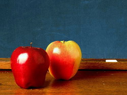 S-au stabilit detaliile de distributie a fructelor in scoli pentru perioada 2014-2015