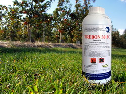 TREBON 30 EC – un produs mai putin cunoscut, insa de mare valoare in programele de combatere a daunatorilor