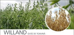 Ovaz de toamna WILLAND