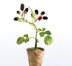 Cultura murului fara ghimpi, afaceri mici, dar ”pretioase”