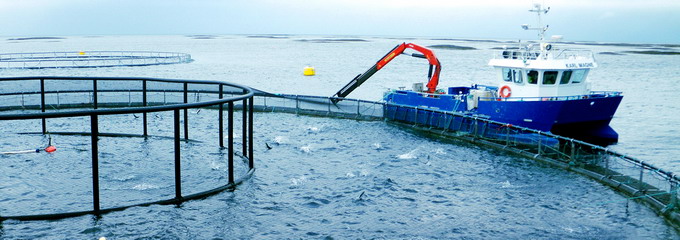 Cercetare UE piscicultura 2