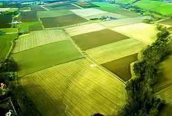 Libra Bank investitii in agricultura