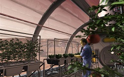 Mars Greenhouse 0
