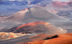 Culturi agricole infiintate pe solul de pe Marte