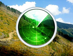 Radarul Padurilor: Sistemul de monitorizare a trasabilitatii lemnului va stopa defrisarile ilegale