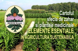 Cartoful, sfecla de zahar si plantele medicinale – elemente esentiale in agricultura sustenabila