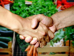 S-au adoptat masurile de reglementare a pietei produselor din sectorul agricol