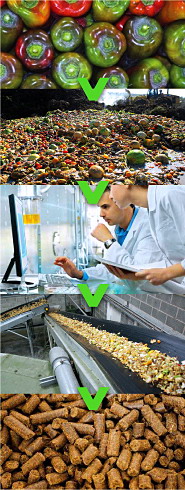 transformare deseuri agricole