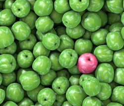 Transformarea deseurilor agricole in hrana pentru animale