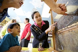 Regina mierii 2014, iubita de albine si copii