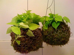 6374646563 46b04fba3c b